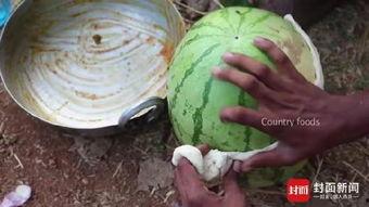 印度老人吃红瓜视频大全,探寻传统风味与生活智慧