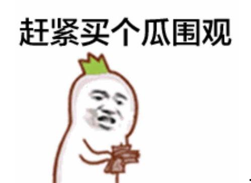 聪颖的吃瓜群众是谁啊视频,视频背后的热门人物